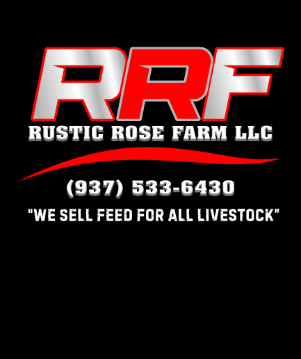 RRF PERForated window sticker